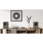 Wiim Amp - Wireless Streaming Amplifier - Image 9