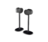 Sonos Flexson Floor Stand For Sonos Era 300 (pair) (black)
