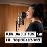 Rode Nt 2A Microphone - XLR - Image 7