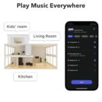 Wiim Pro Plus Streamer - Image 9