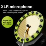 Lewitt Lct 440 Pure Single-pattern 1" Xlr Unidirectional Large Diaphragm Studio Condenser Microphone (black) - Image 5