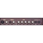 Sherwood 20r Acoustic Guitar Amp - Image 4