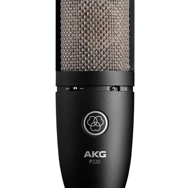 Akg P220 Large-diaphragm Condenser Microphone
