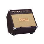 Sherwood 20r Acoustic Guitar Amp - Image 3