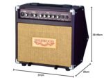 Sherwood 20r Acoustic Guitar Amp - Image 5