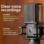Lewitt Lct 440 Pure Single-pattern 1" Xlr Unidirectional Large Diaphragm Studio Condenser Microphone (black) - Image 3