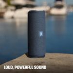 Jbl New Launch Flip Essential 3 Se Wireless Portable Bluetooth Speaker,powerful Pro Sound,dual Passive Radiators, 12h Battery, Ip67 Water And Dustproof, Multi-speaker Connection By Auracast- Gun Metal