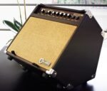 Sherwood 20r Acoustic Guitar Amp