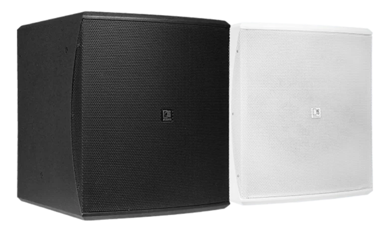 AUDAC BASO10 10-Inch Passive Subwoofer