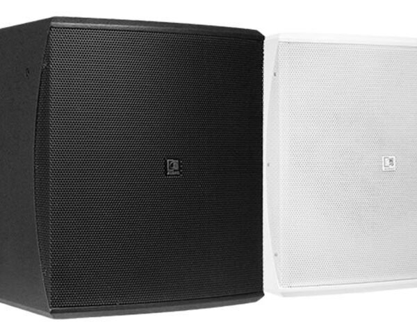 Audac Baso10 10-inch Passive Subwoofer