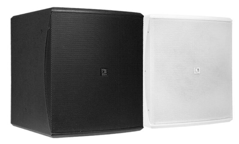 AUDAC BASO10 10-Inch Passive Subwoofer