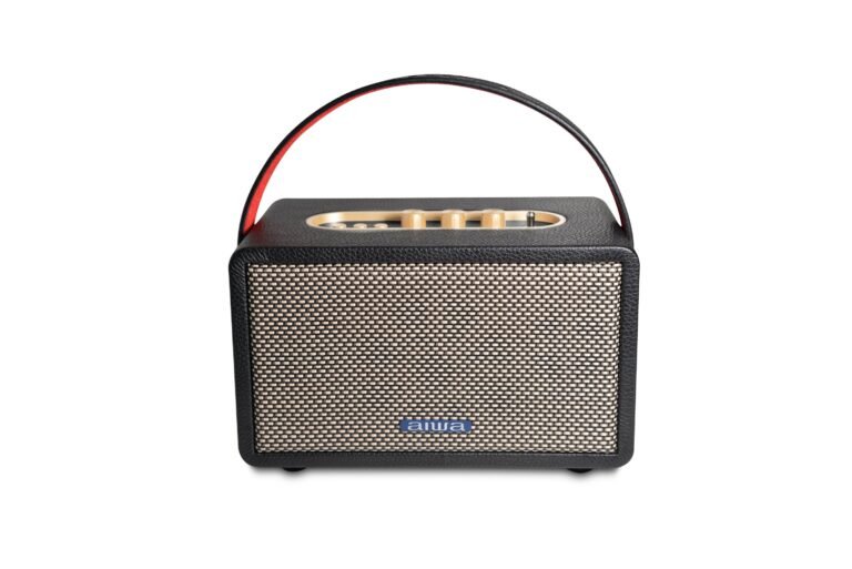 Aiwa RS-X 100 Natsukasii Pro (Black) Bluetooth Speaker With Powerful Bass, Built-In Microphone, Portable Speaker With 9+ Hours Play Time, 40W Speaker, Type-C Charging