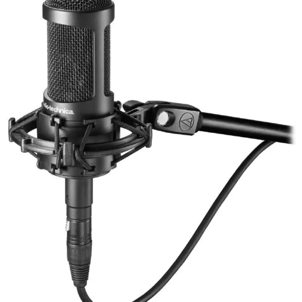 Audiotechnica At2050 Microphone